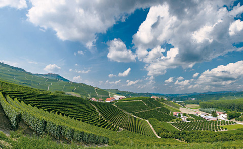 Verso le Langhe e il Roero