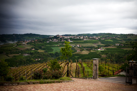 Langhe Roero 2012, la Tonda Gentile e la Pasticceria Cerrato