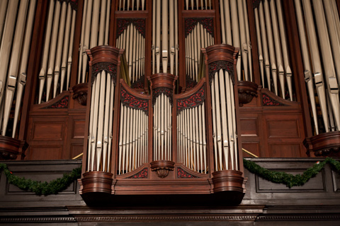 organ